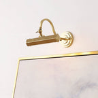 Halcyon Swan-Neck Adjustable Picture Wall Light