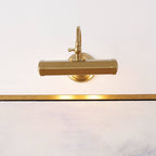 Halcyon Swan-Neck Adjustable Picture Wall Light