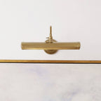 Halcyon Swan-Neck Adjustable Picture Wall Light