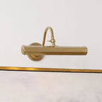 Halcyon Swan-Neck Adjustable Picture Wall Light