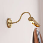 Halcyon Swan-Neck Adjustable Picture Wall Light