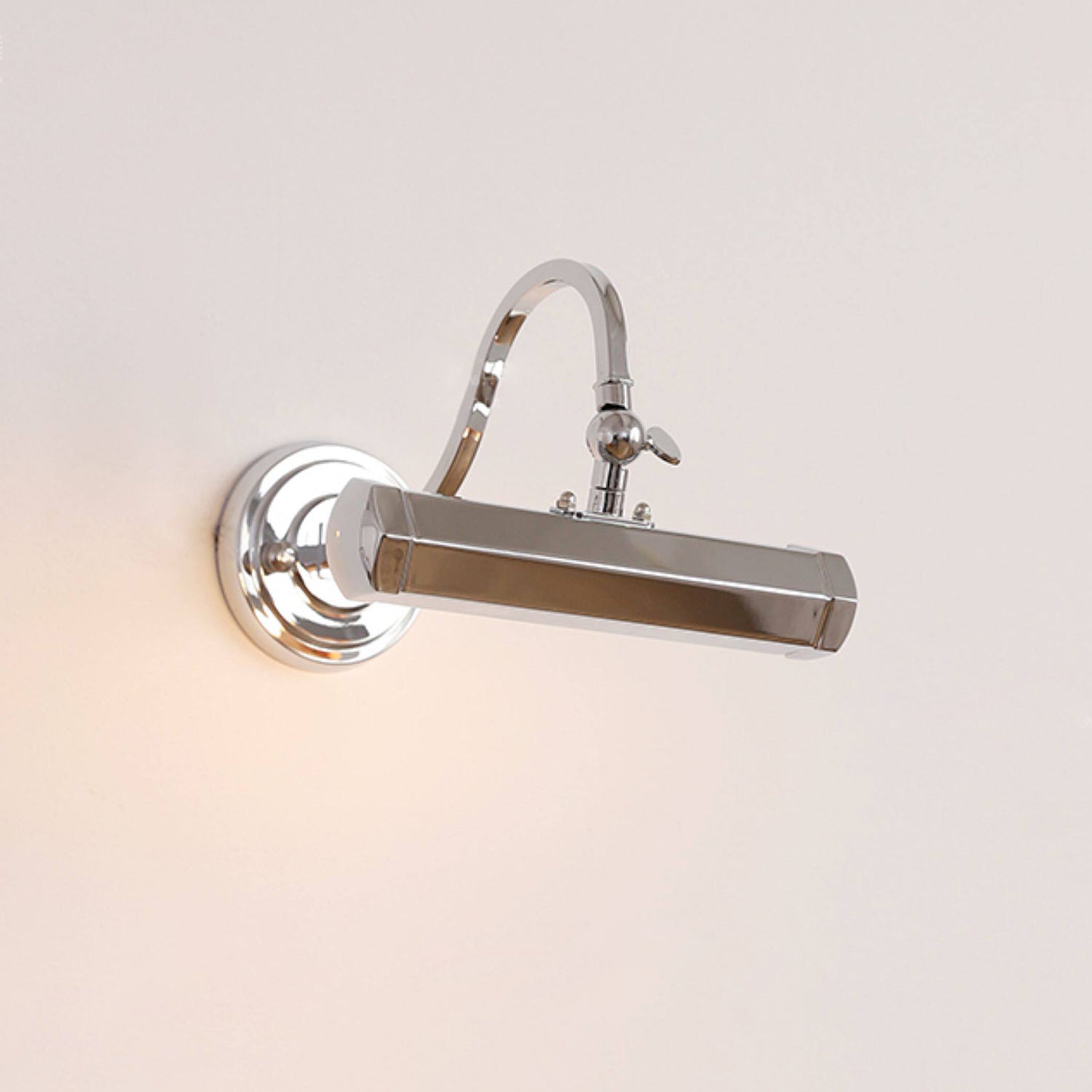 Halcyon Swan-Neck Adjustable Picture Wall Light