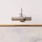 Halcyon Swan-Neck Adjustable Picture Wall Light