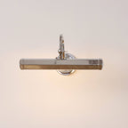 Halcyon Swan-Neck Adjustable Picture Wall Light