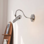 Halcyon Swan-Neck Adjustable Picture Wall Light