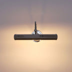 Halcyon Swan-Neck Adjustable Picture Wall Light