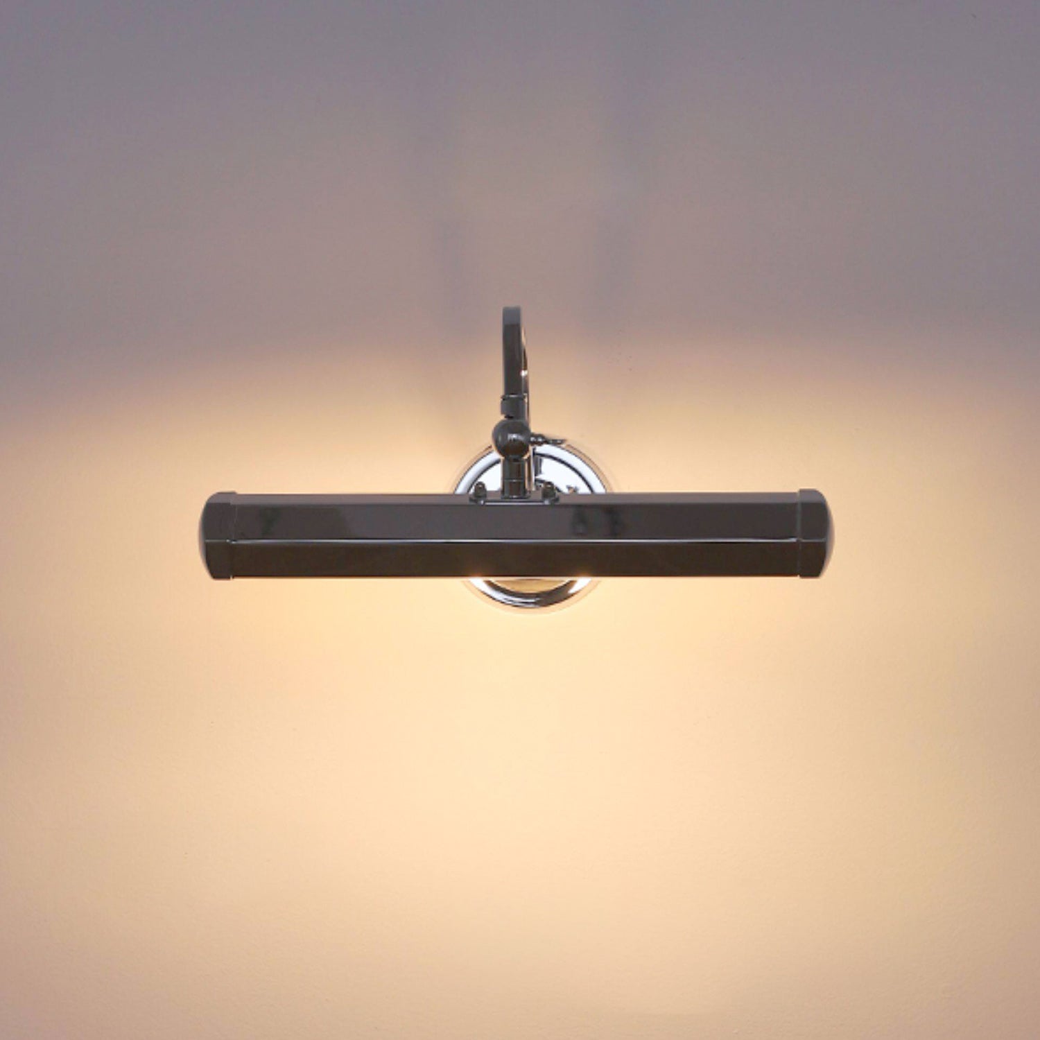 Halcyon Swan-Neck Adjustable Picture Wall Light