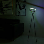 Lumura – Halo Floor Lamp