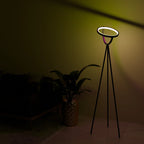 Lumura – Halo Floor Lamp