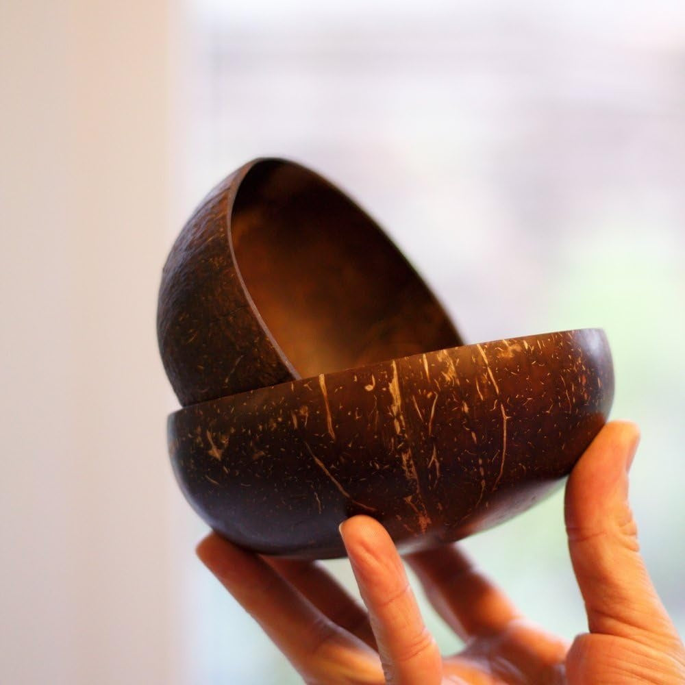 Coconut Shell Bowl, Natural Brown, Polished Finish, Handcrafted