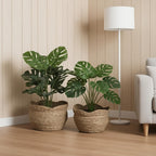 Rattan Planter Handwoven Natural Woven Basket Design