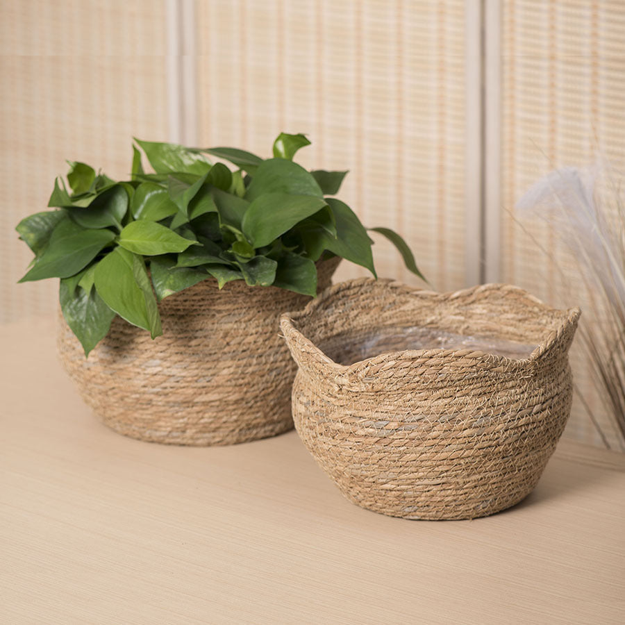 Rattan Planter Handwoven Natural Woven Basket Design