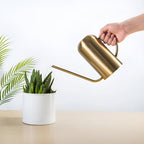 Silvoria – Stainless Steel Watering Can 1.5L With Long Spout