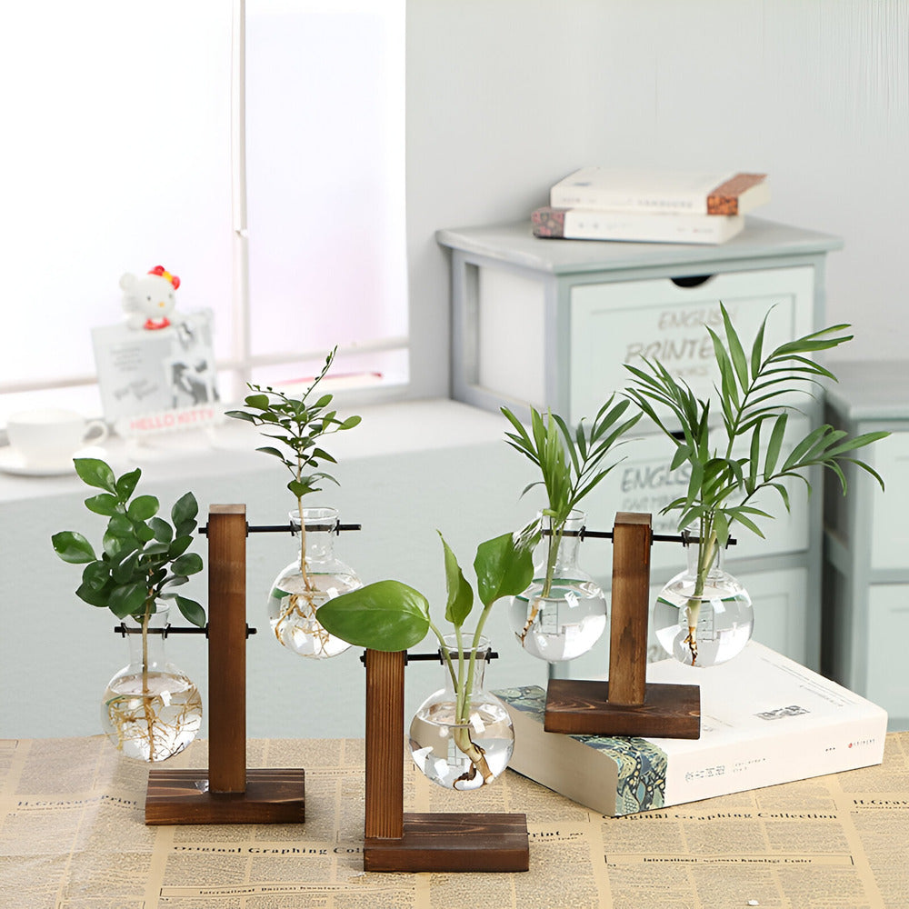 Valethra - Rustic Wooden Water Culture Plant Holder