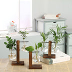 Valethra - Rustic Wooden Water Culture Plant Holder