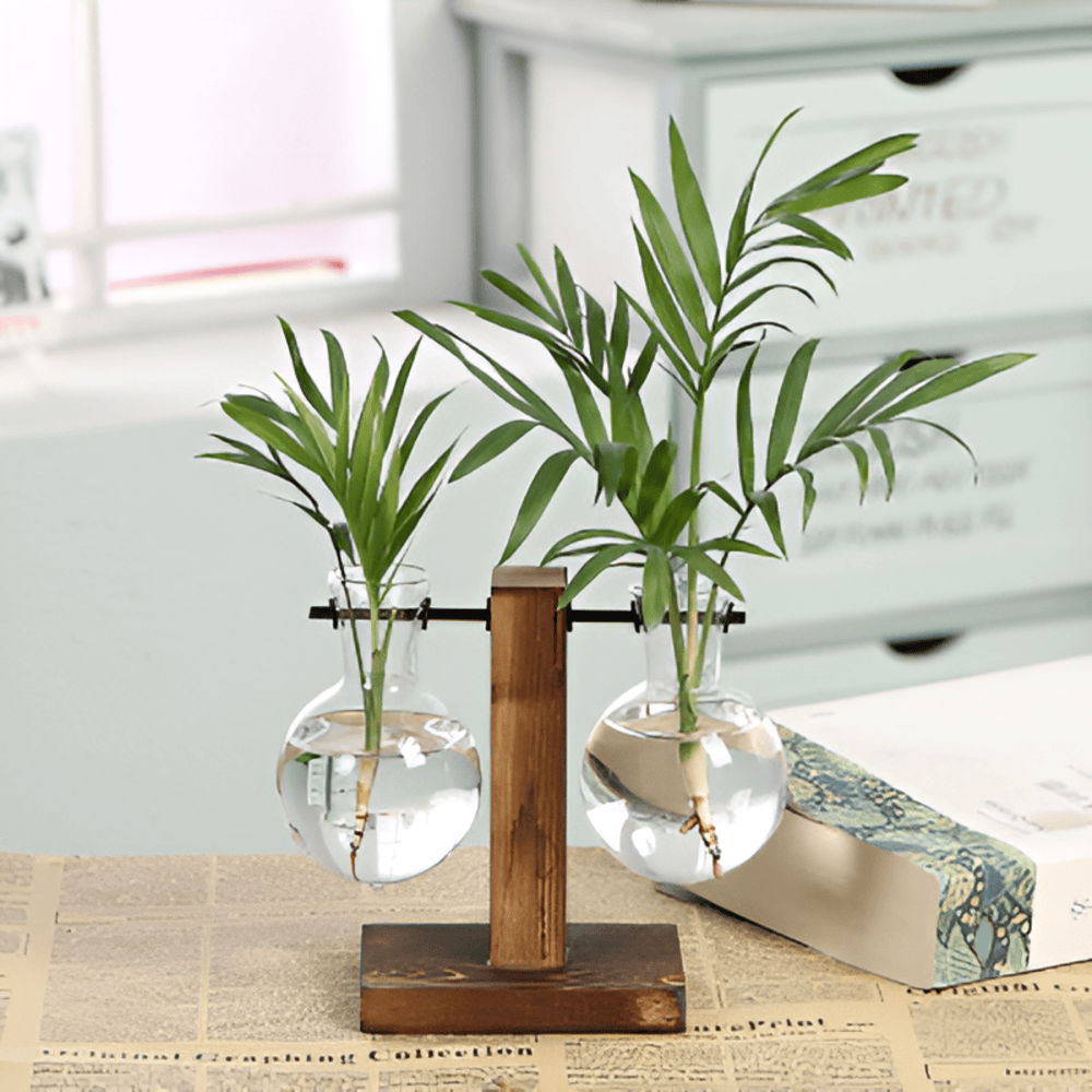 Valethra - Rustic Wooden Water Culture Plant Holder