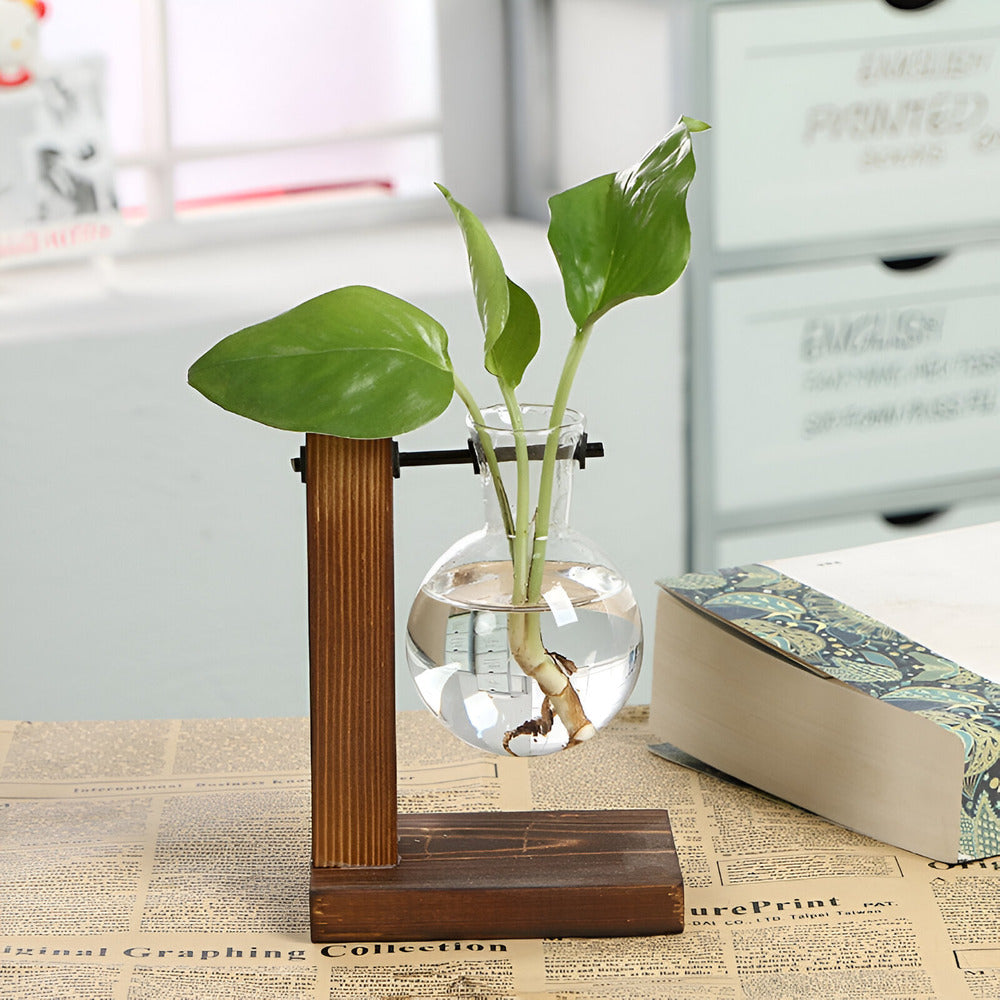 Valethra - Rustic Wooden Water Culture Plant Holder