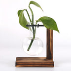 Valethra - Rustic Wooden Water Culture Plant Holder