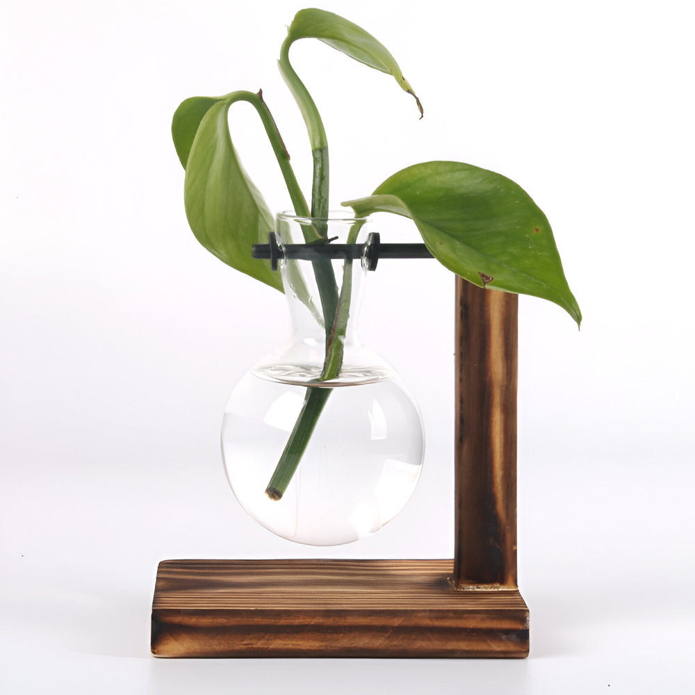 Valethra - Rustic Wooden Water Culture Plant Holder