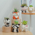 Bingo Animal Planters | Ceramic, 5 Unique Variants for Succulents