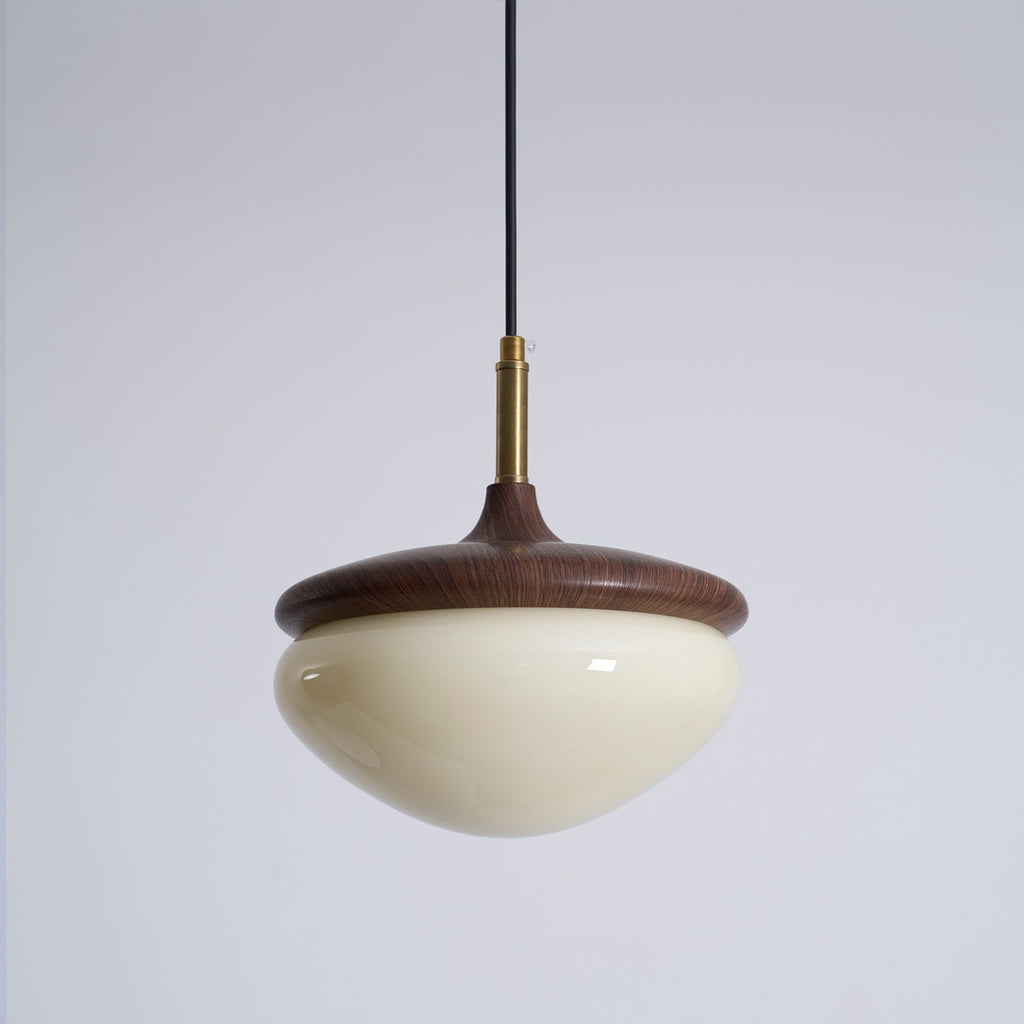 Humboldt Vintage Glass Pendant Lamp