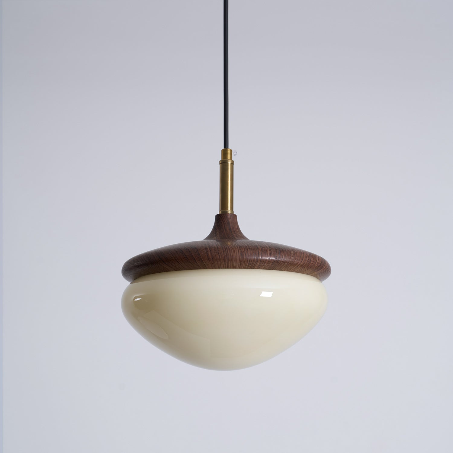 Humboldt Vintage Glass Pendant Lamp