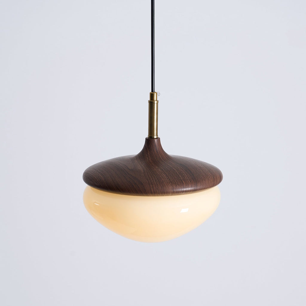 Humboldt Vintage Glass Pendant Lamp