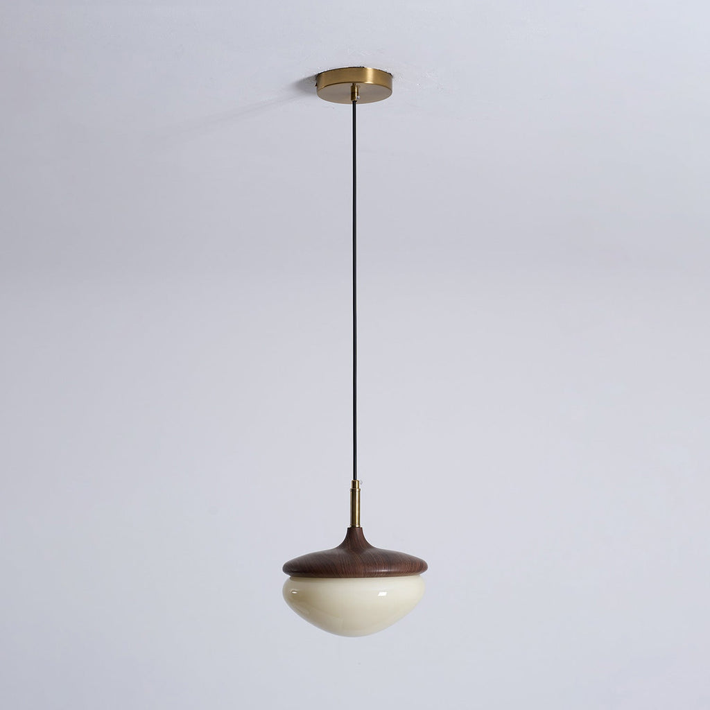 Humboldt Vintage Glass Pendant Lamp