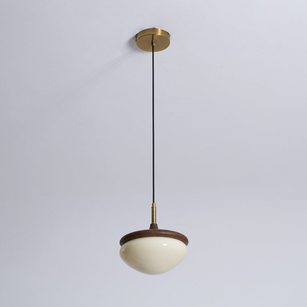 Humboldt Vintage Glass Pendant Lamp