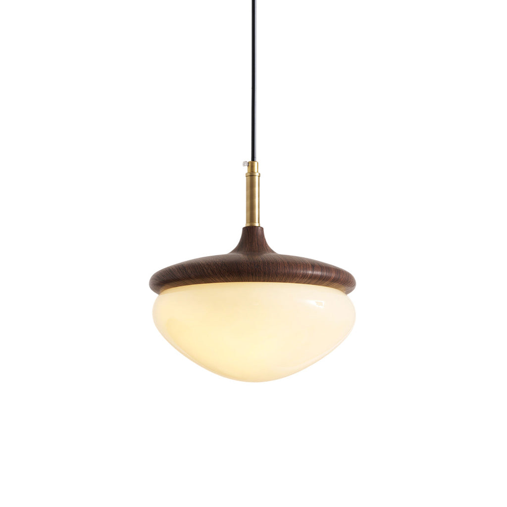 Humboldt Vintage Glass Pendant Lamp