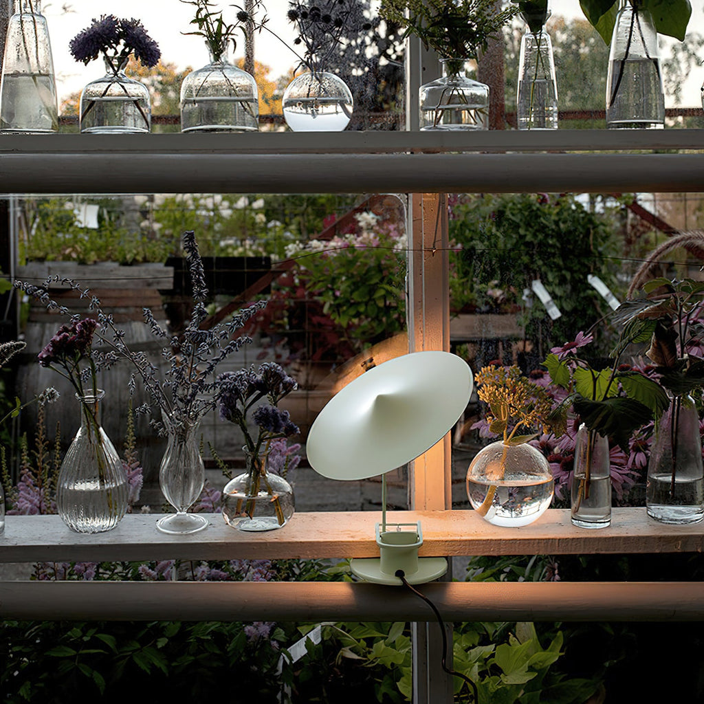 Ile Adjustable Clip-On LED Table Lamp