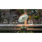 Ile Adjustable Clip-On LED Table Lamp