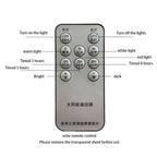Industrial Rectangular Solar LED Wall Sconce 1-Light