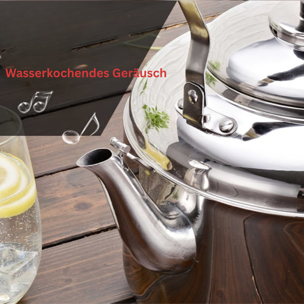 InoxGrande: Robust Stainless Steel Kettle 5 Liters, Compatible with Induction & Gas – for Restaurant & Home