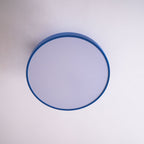 Modern Round LED Flush Mount Ceiling Light 1-Light