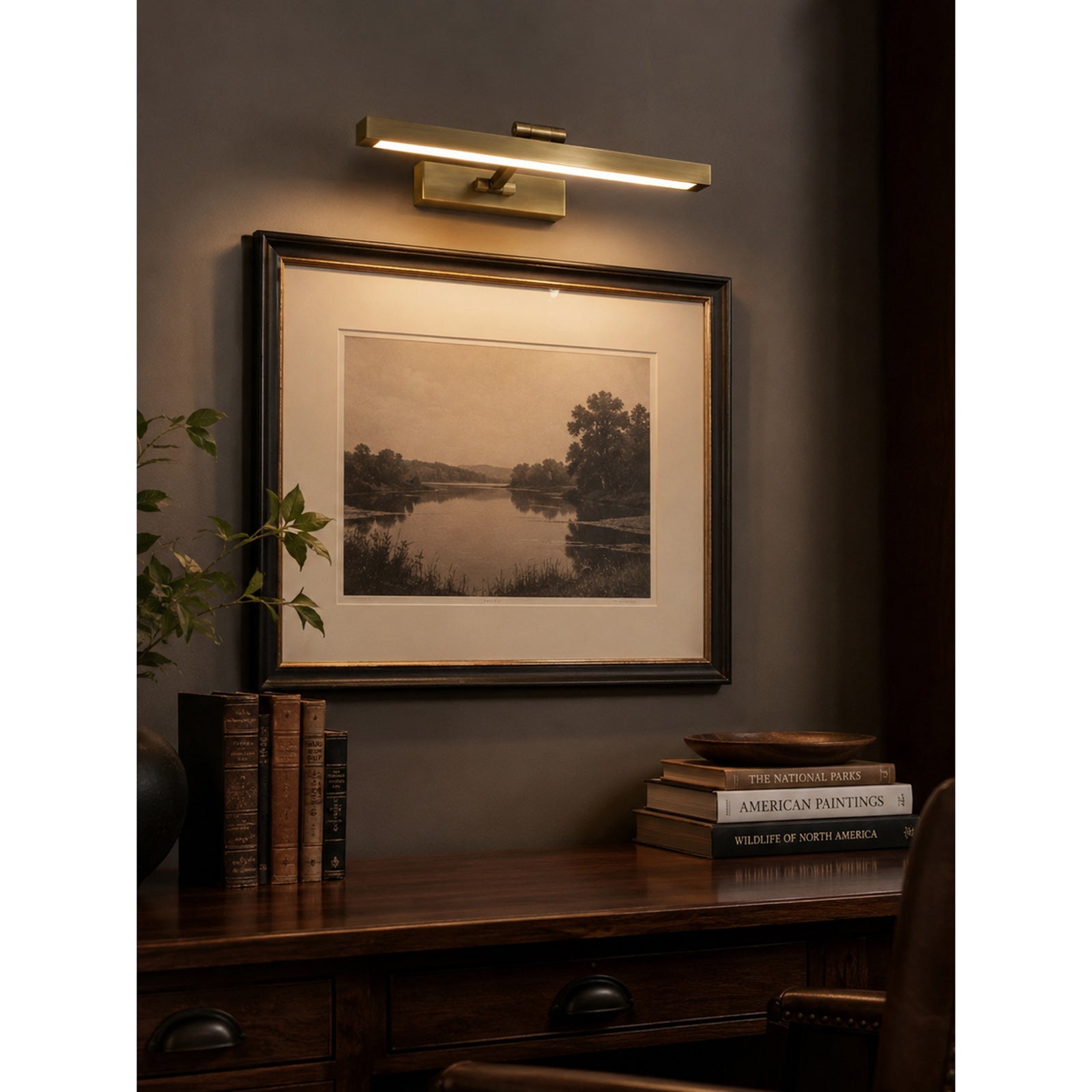 Jaeger Linear LED Brass Picture Light