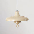 Jasper Nordic Saucer LED Pendant Lamp