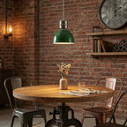 Dante Industrial Color-Pop Pendant Lamp