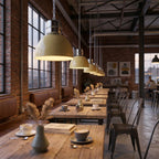 Dante Industrial Color-Pop Pendant Lamp