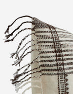 Kavi Throw Pillow | Hand Loomed Desi Wool, Geometric Patterns