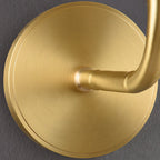 Gooseneck Cone Wall Sconce