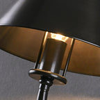 Gooseneck Cone Wall Sconce