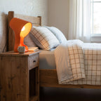 Organic Sculptural Resin Table Lamp