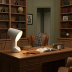 Organic Sculptural Resin Table Lamp