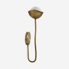 Curved Arm Opal Orb Wall Lamp