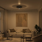 Ivy LED Ceiling Light | Dimmable, Retro Design