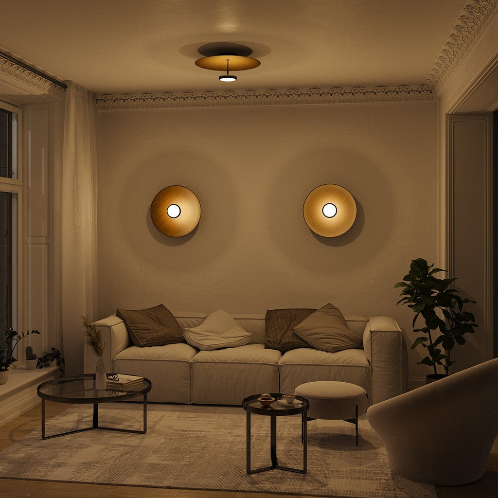 Ivy LED Ceiling Light | Dimmable, Retro Design