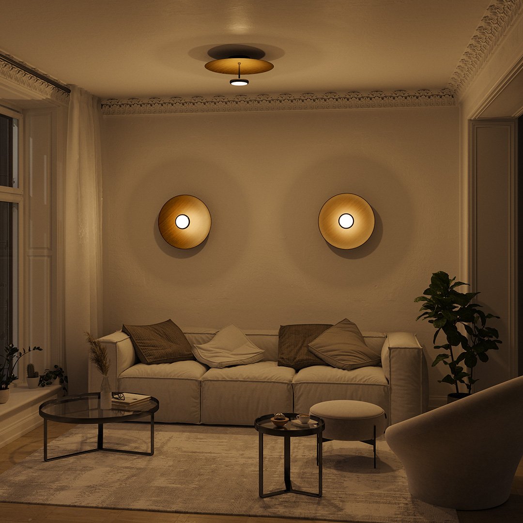 Ivy LED Ceiling Light | Dimmable, Retro Design