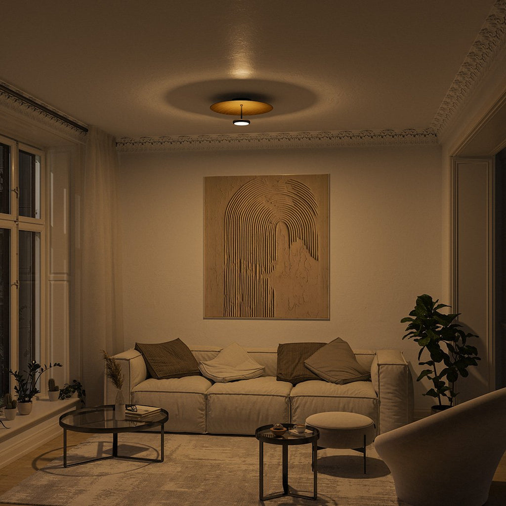 Ivy LED Ceiling Light | Dimmable, Retro Design