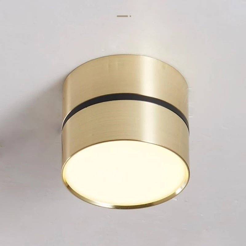 LED Ceiling Spotlight Adjustable Direction Aluminum Ceiling Light